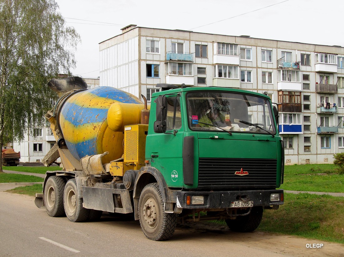 Витебская область, № АВ 9205-2 — МАЗ-6303 (общая модель)