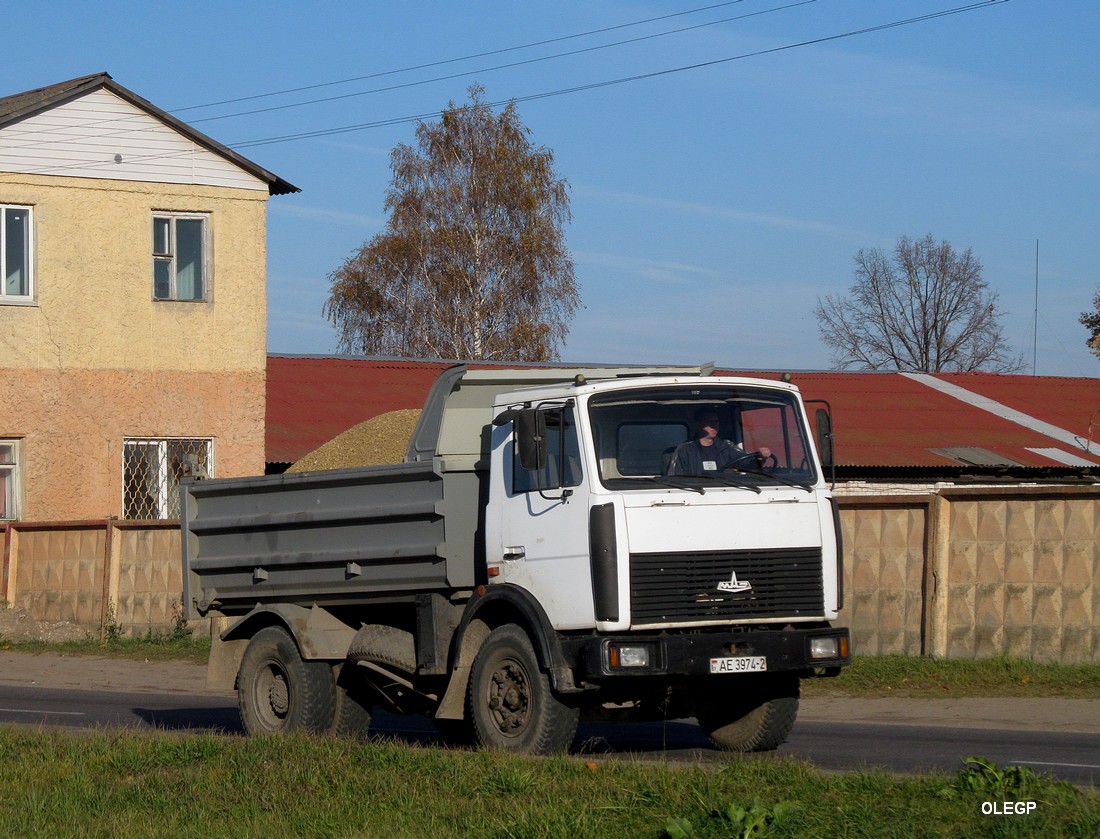 Витебская область, № АЕ 3974-2 — МАЗ-5551 (общая модель)