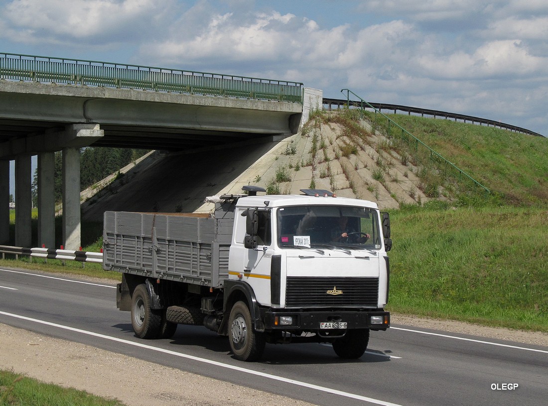 Могилёвская область, № АА 8625-6 — МАЗ-5336 (общая модель)