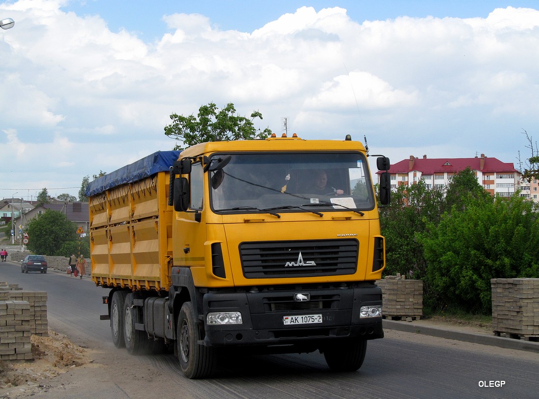 Витебская область, № АК 1075-2 — МАЗ-6501A8