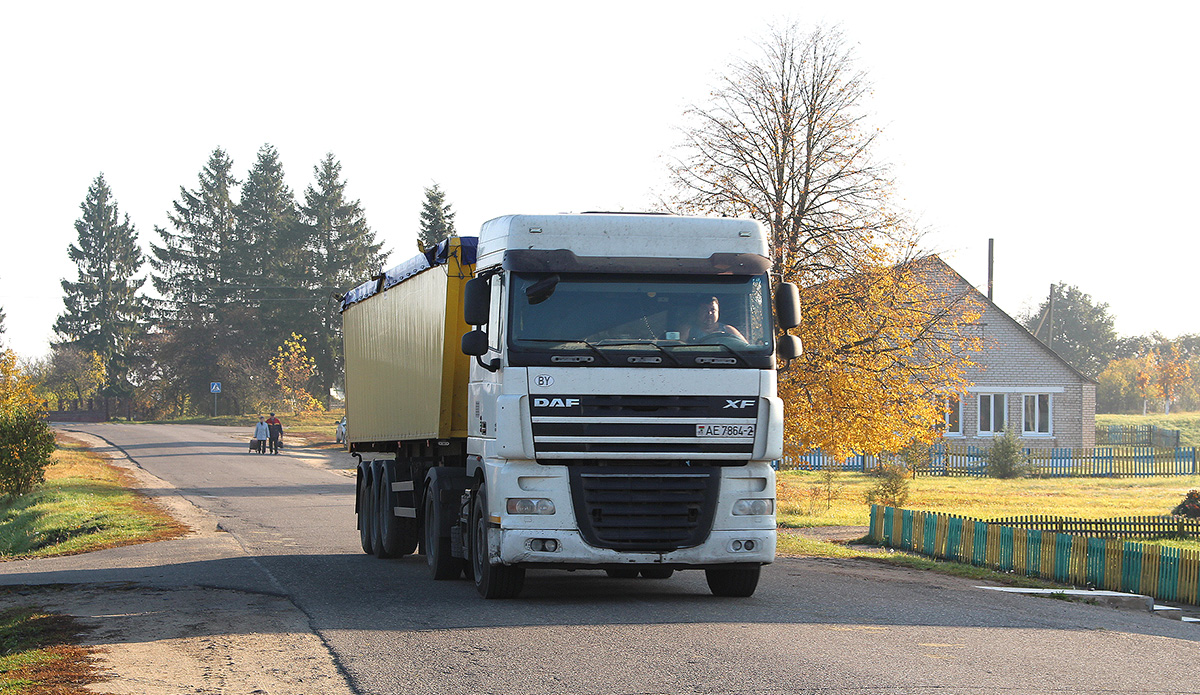 Витебская область, № АЕ 7864-2 — DAF XF95 FT