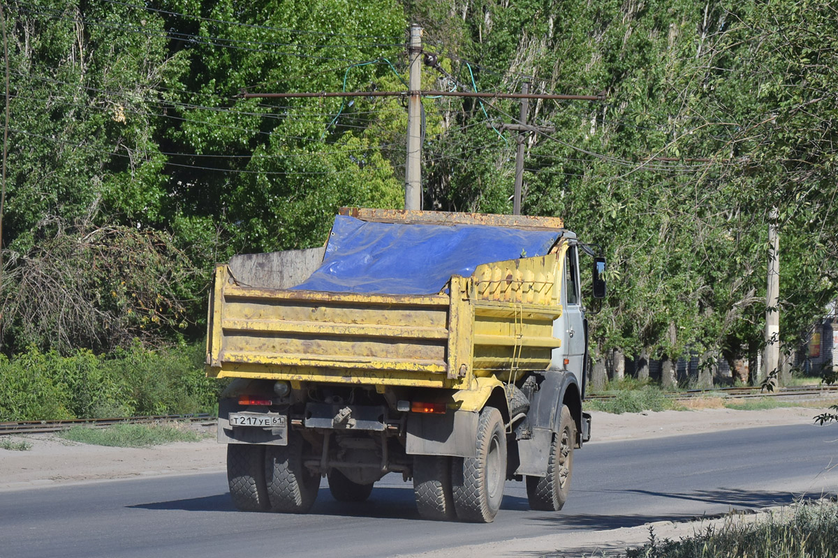 Волгоградская область, № Т 217 УЕ 61 — МАЗ-5551 [555100]