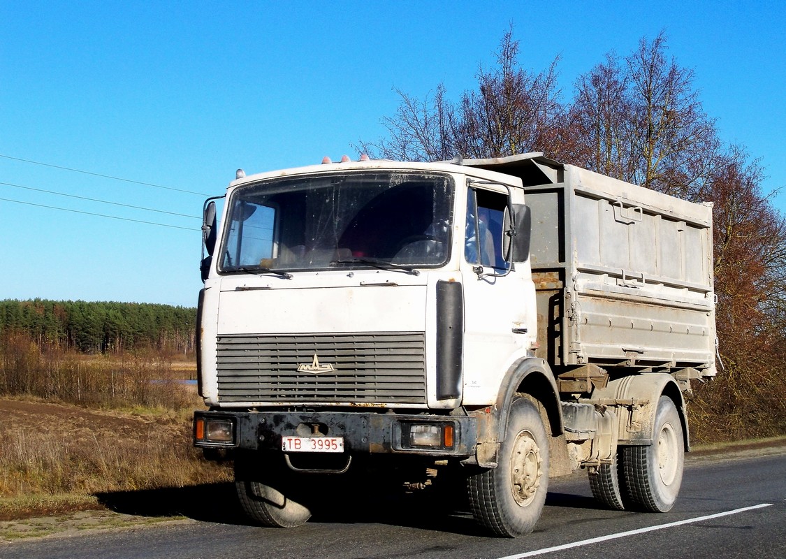 Могилёвская область, № ТВ 3995 — МАЗ-5551 (общая модель)