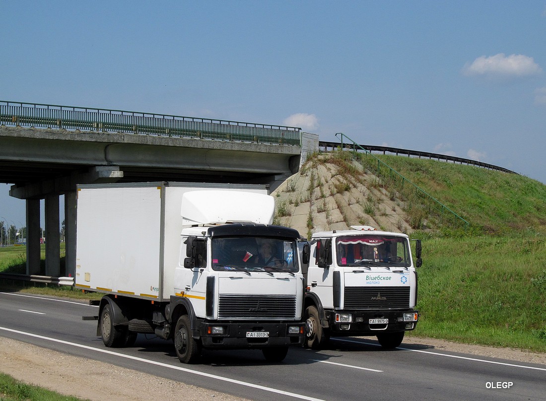 Гомельская область, № АІ 3313-3 — МАЗ-5336 (общая модель)