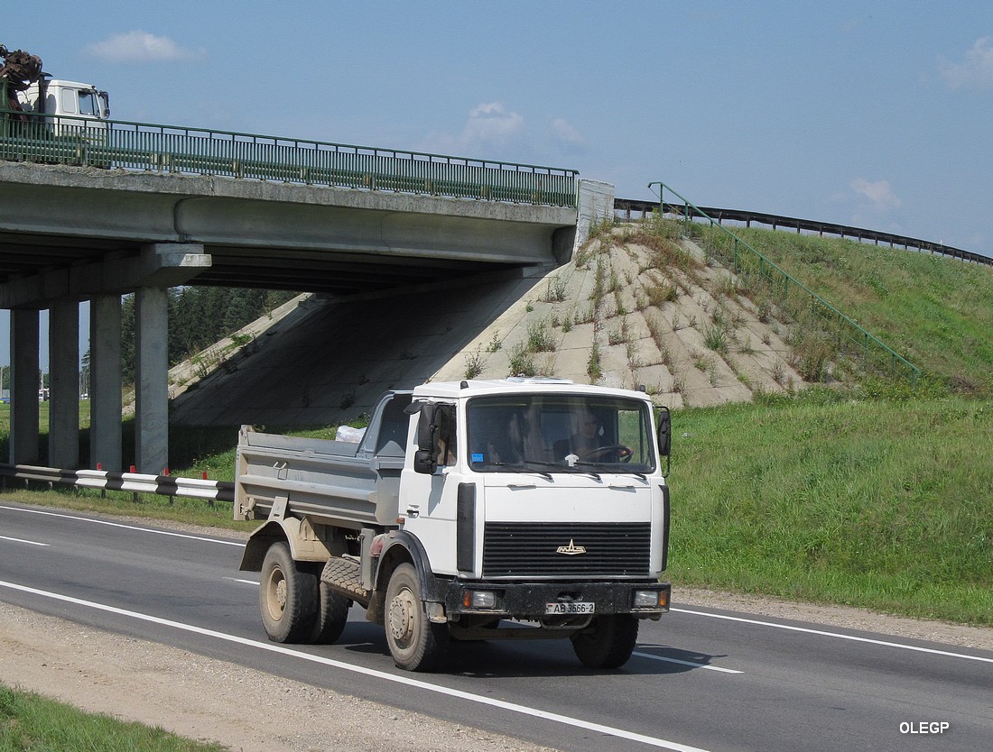 Витебская область, № АВ 3666-2 — МАЗ-5551 (общая модель)