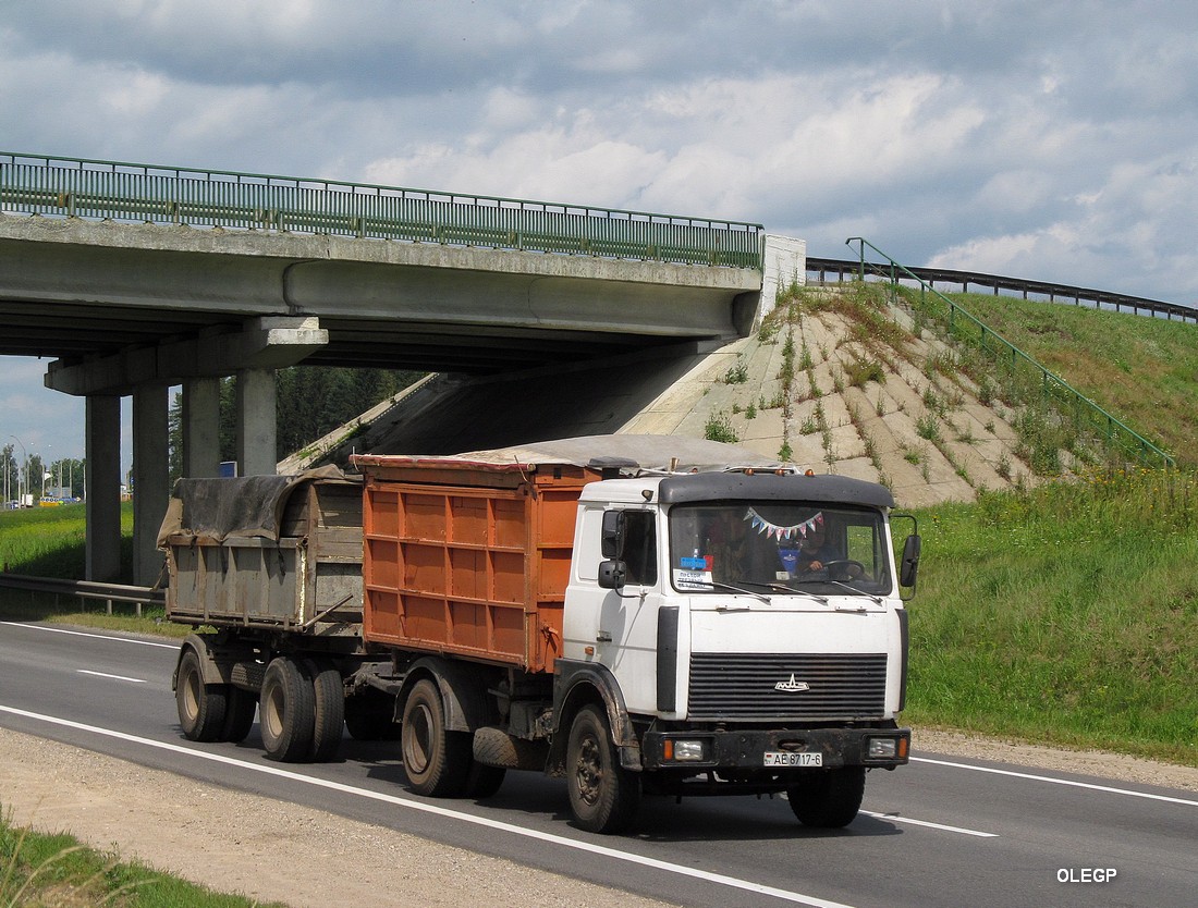 Могилёвская область, № АЕ 8717-6 — МАЗ-5551 (общая модель)