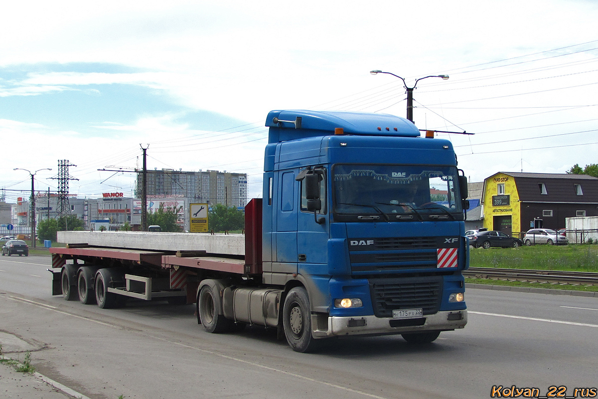 Алтайский край, № Н 175 РХ 22 — DAF XF95 FT