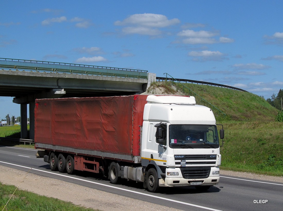 Витебская область, № АЕ 5011-2 — DAF CF85 FT