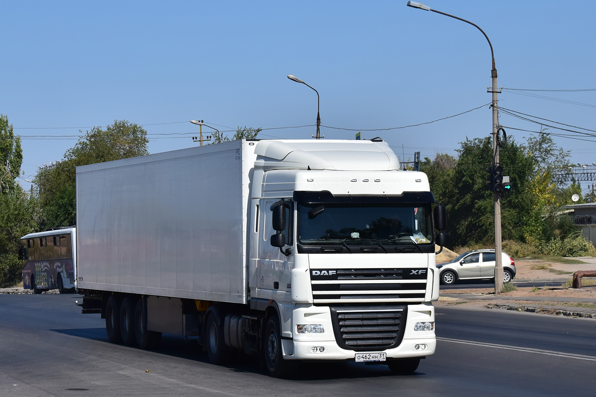 Белгородская область, № О 462 НН 31 — DAF XF105 FT