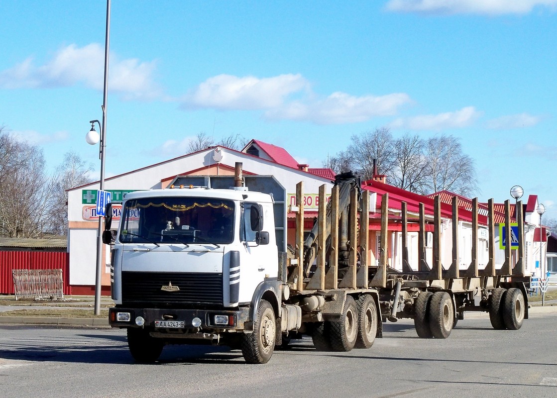 Могилёвская область, № АА 4243-6 — МАЗ-6303A8