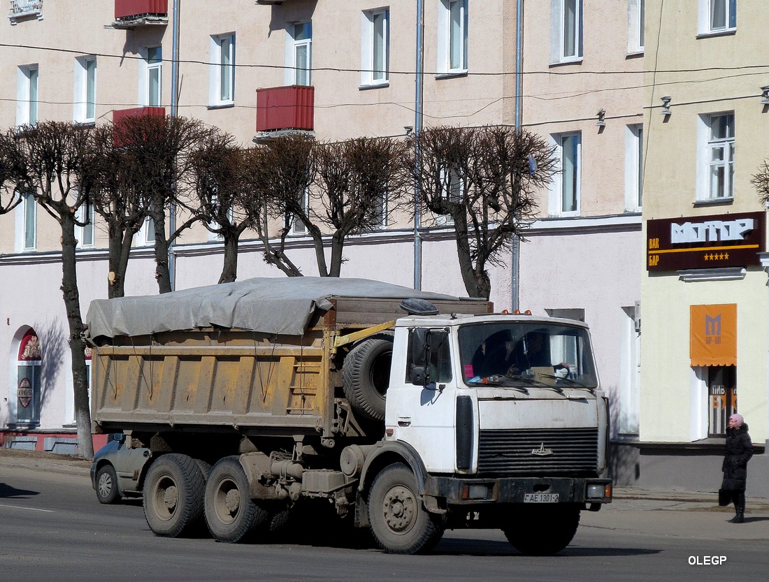 Витебская область, № АЕ 1301-2 — МАЗ-5516 (общая модель)