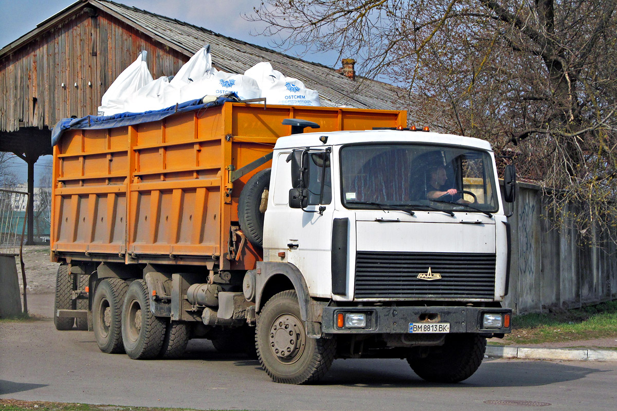 Сумская область, № ВМ 8813 ВК — МАЗ-551608