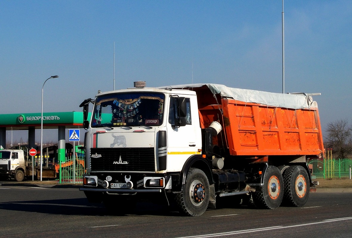 Могилёвская область, № АІ 1230-6 — МАЗ-5516 (общая модель)