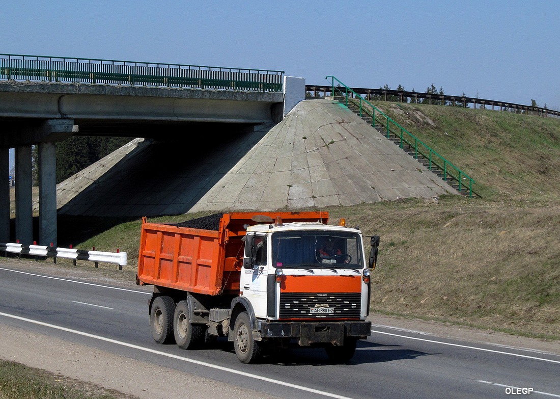 Витебская область, № АВ 8801-2 — МАЗ-5516 (общая модель)