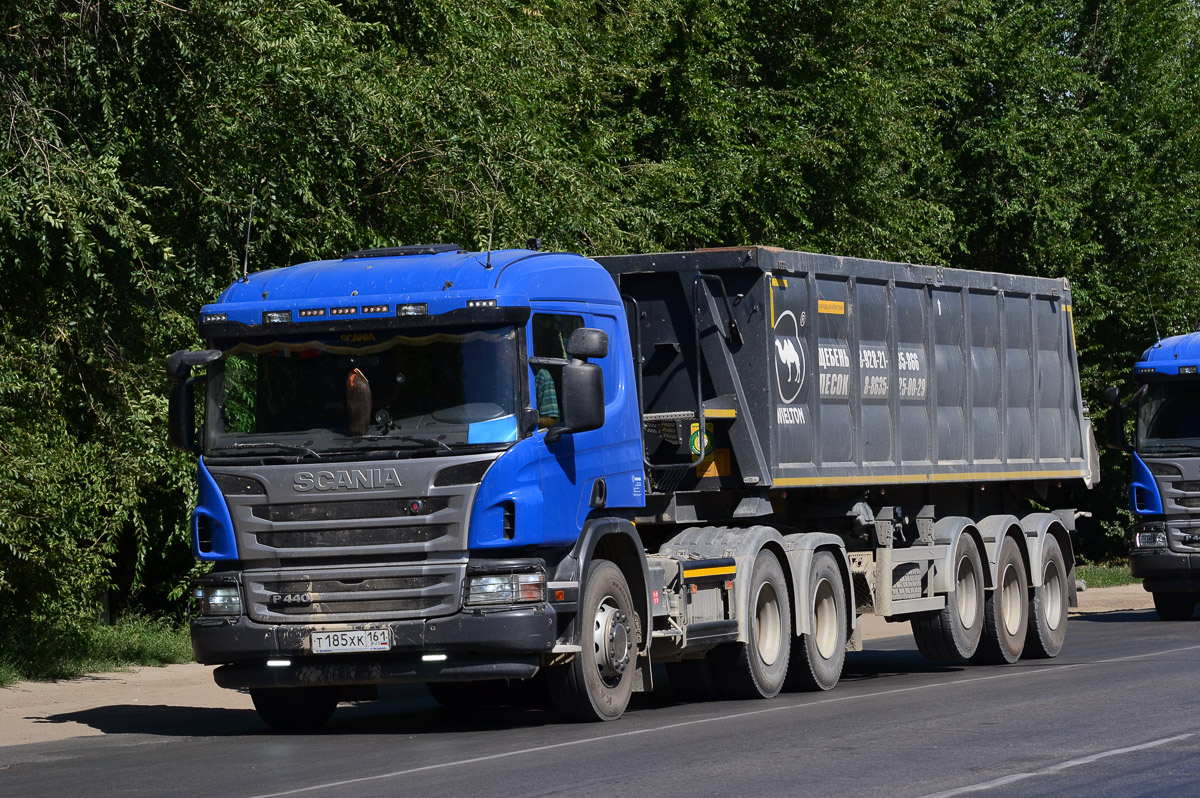 Ростовская область, № Т 185 ХК 161 — Scania ('2011) P440