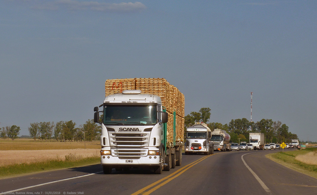 Аргентина, № 1 — Scania ('2009, общая модель)