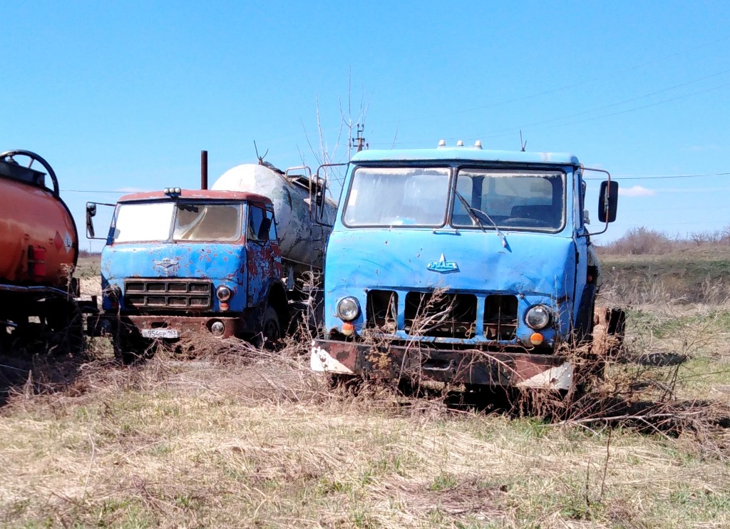 Самарская область, № Е 954 ЕР 163 — МАЗ-504В