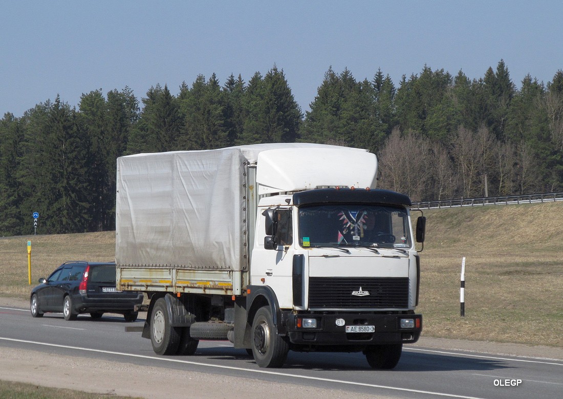 Гомельская область, № АЕ 8580-3 — МАЗ-5336 (общая модель)