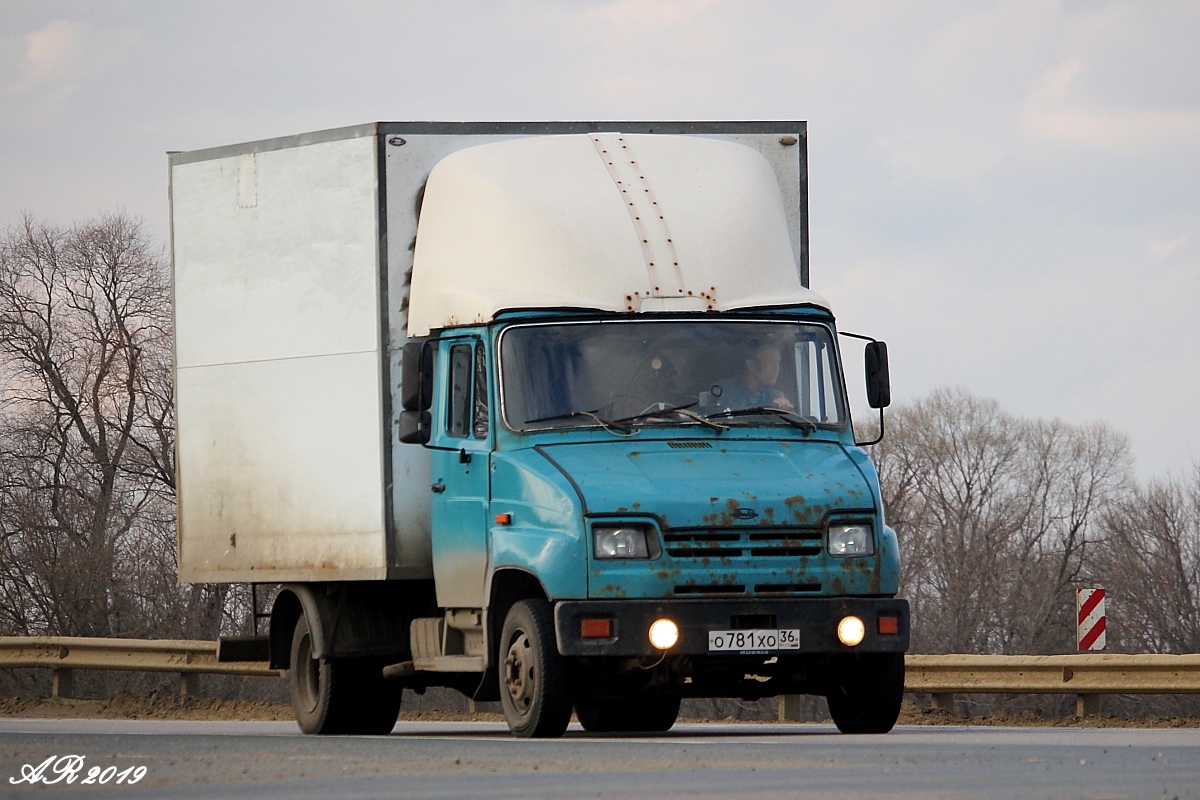 Воронежская область, № О 781 ХО 36 — ЗИЛ-5301 "Бычок" (общая модель