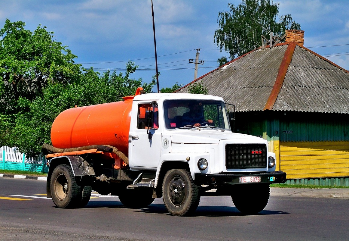 Могилёвская область, № ТЕ 6075 — ГАЗ-3307