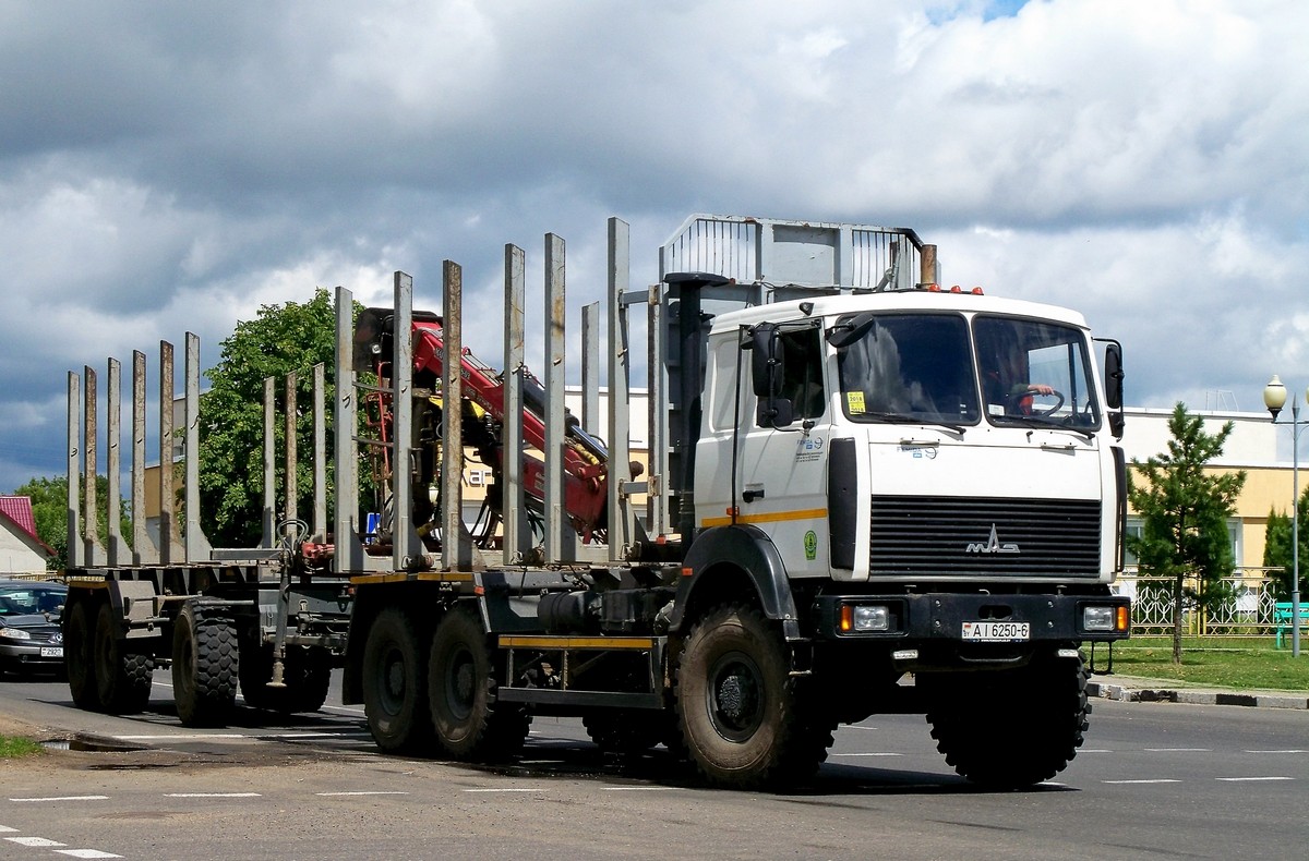 Могилёвская область, № АІ 6250-6 — МАЗ-6317 (общая модель)