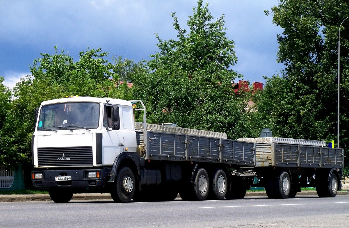 Могилёвская область, № АА 4598-6 — МАЗ-6303 (общая модель)