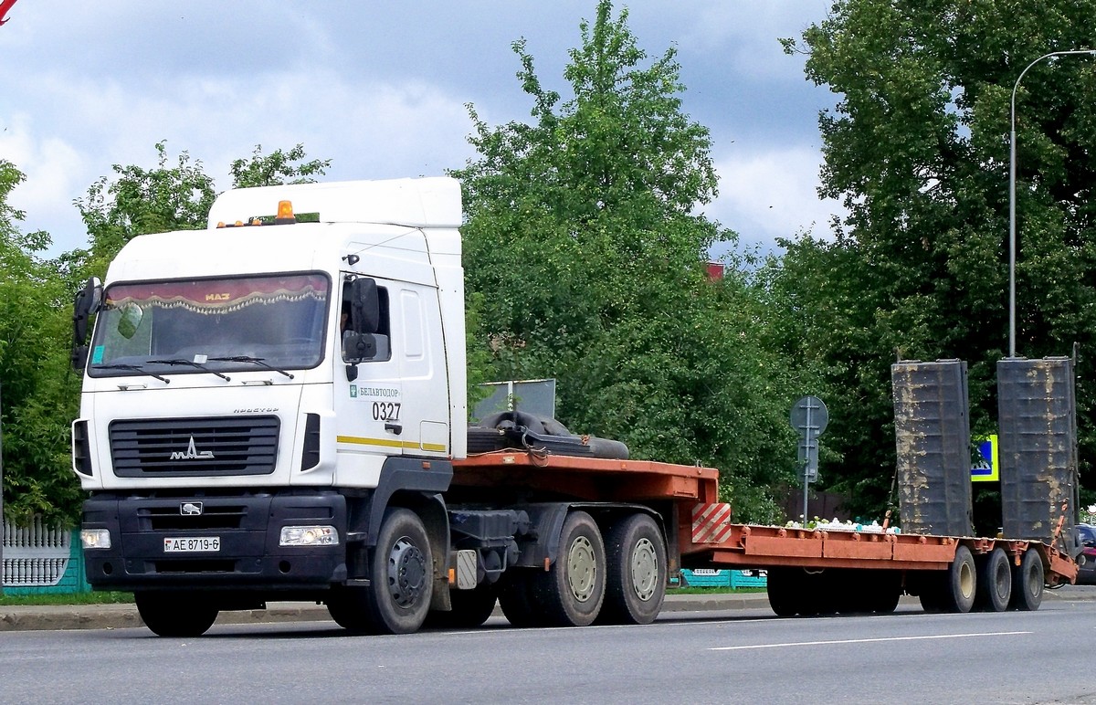 Могилёвская область, № АЕ 8719-6 — МАЗ-6430 (общая модель)