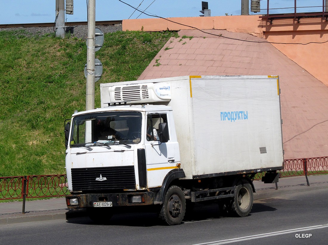 Витебская область, № АЕ 6029-2 — МАЗ-4570 (общая модель)