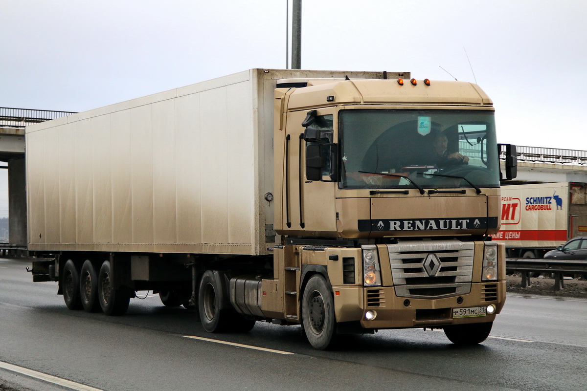 Белгородская область, № Р 591 МС 31 — Renault Magnum E-Tech ('2001)