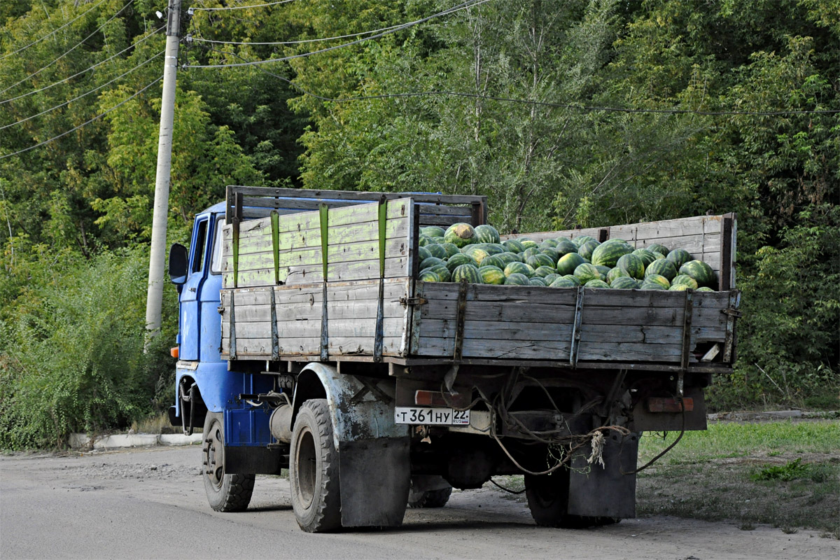 Алтайский край, № Т 361 НУ 22 — IFA W50L