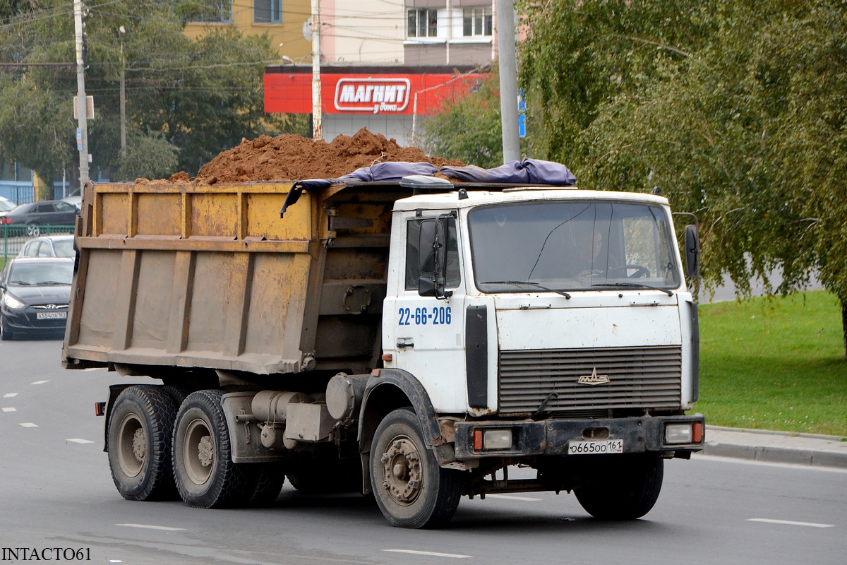 Ростовская область, № О 665 ОО 161 — МАЗ-5516 (общая модель)