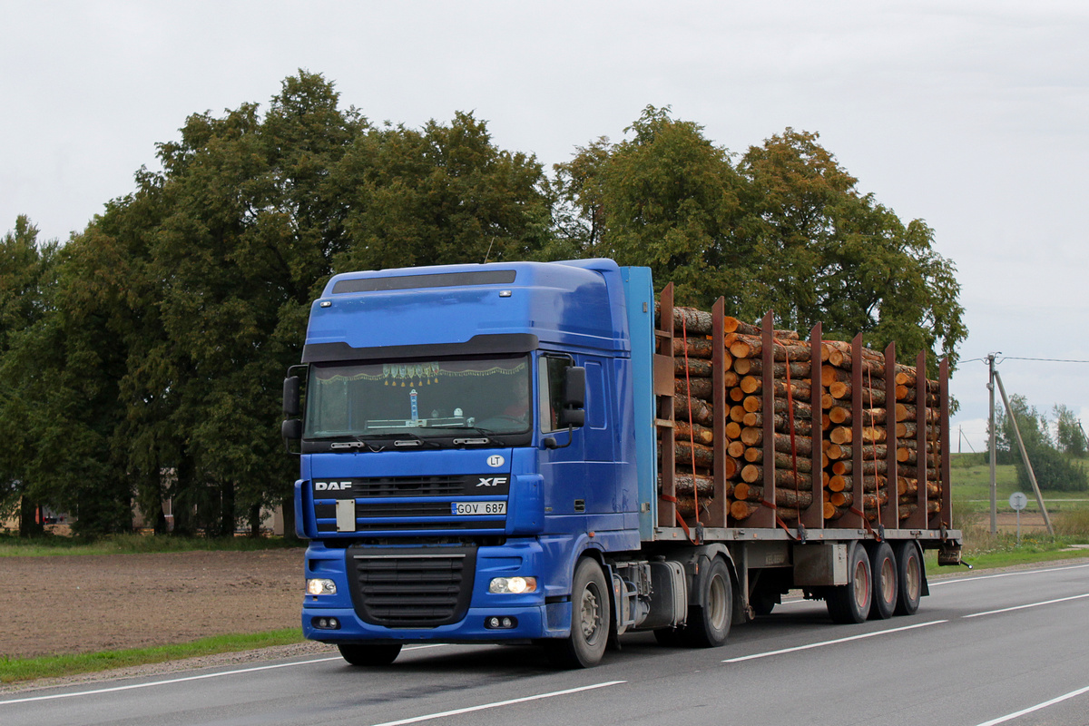 Литва, № GOV 687 — DAF XF95 FT