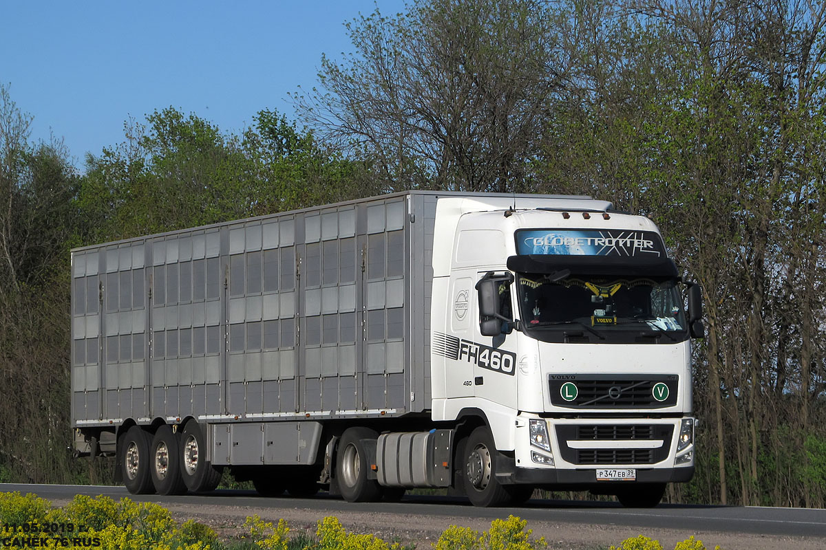 Вологодская область, № Р 347 ЕВ 39 — Volvo ('2008) FH.460