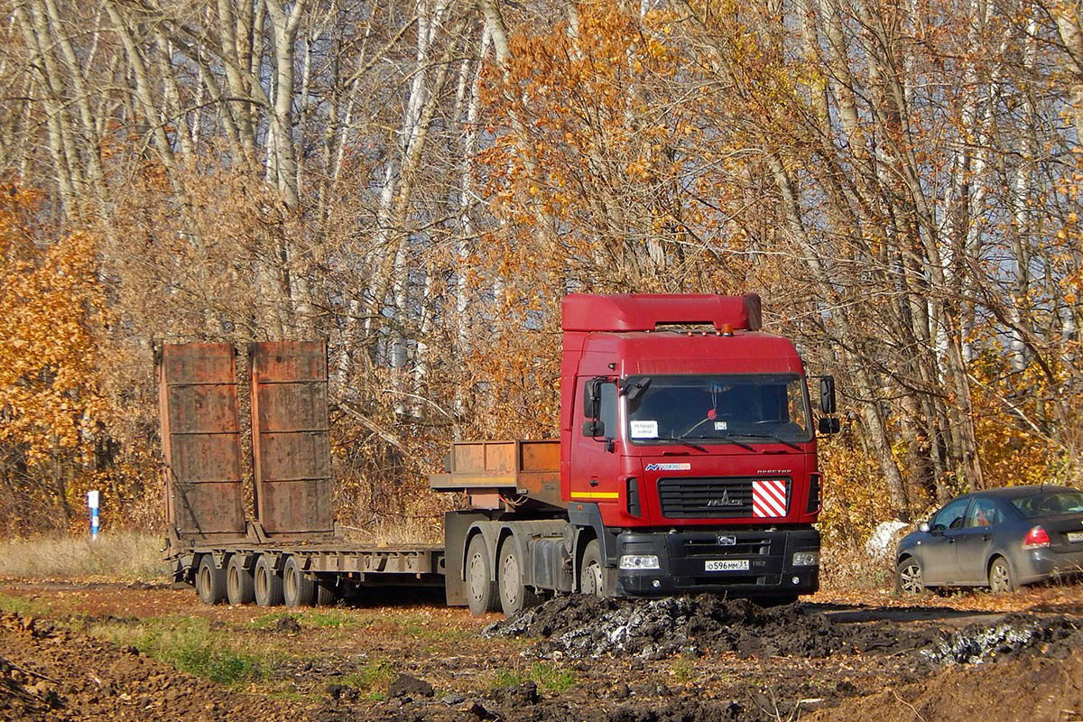 Белгородская область, № О 596 ММ 31 — МАЗ-6430B9