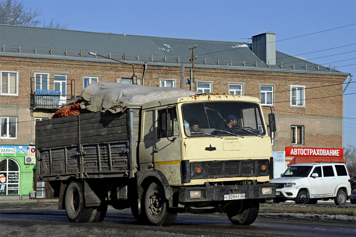 Алтайский край, № Т 309 РТ 22 — МАЗ-53371