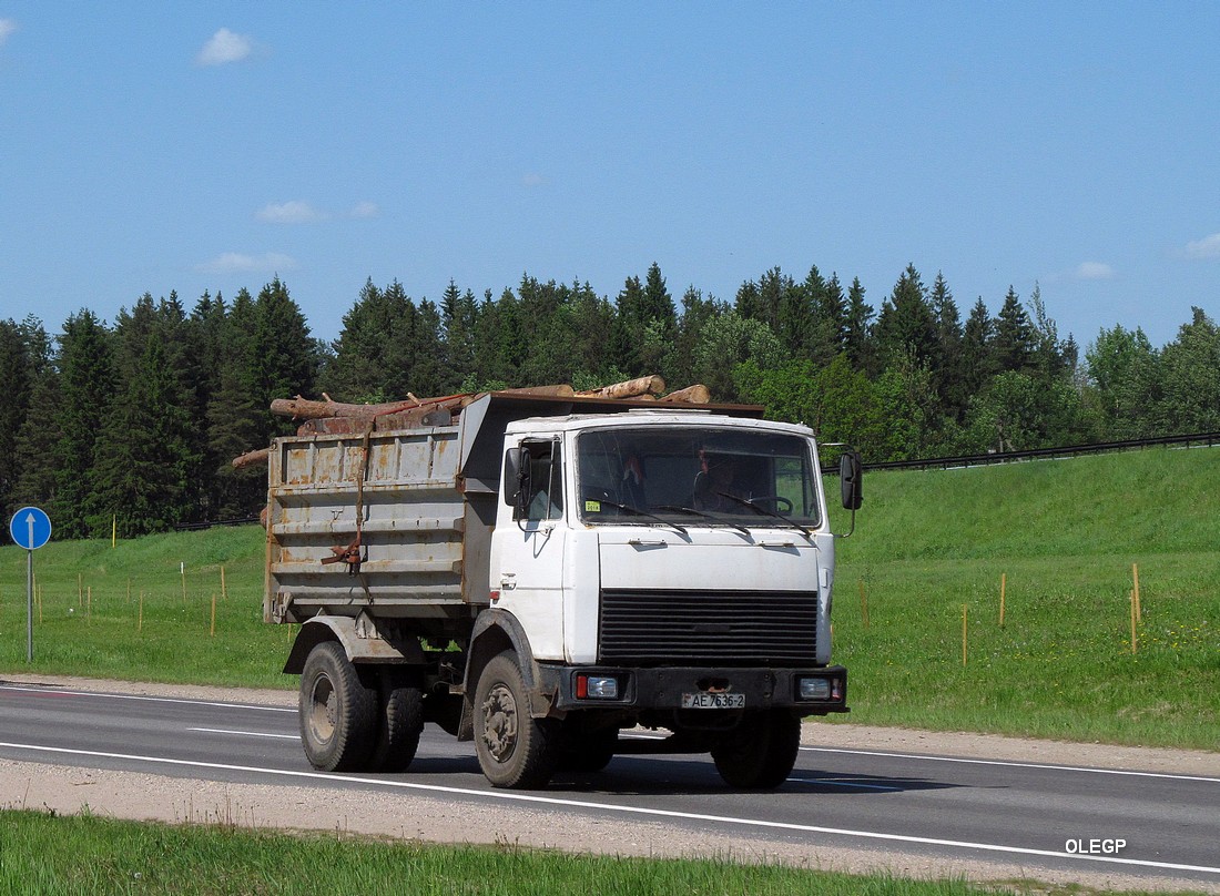 Витебская область, № АЕ 7636-2 — МАЗ-5551 (общая модель)