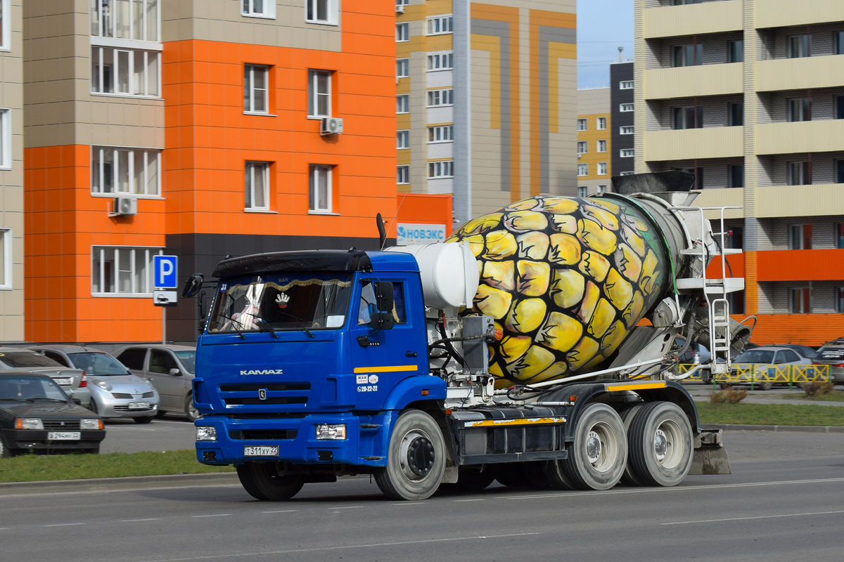 Алтайский край, № Т 311 ХУ 22 — КамАЗ-65115-50