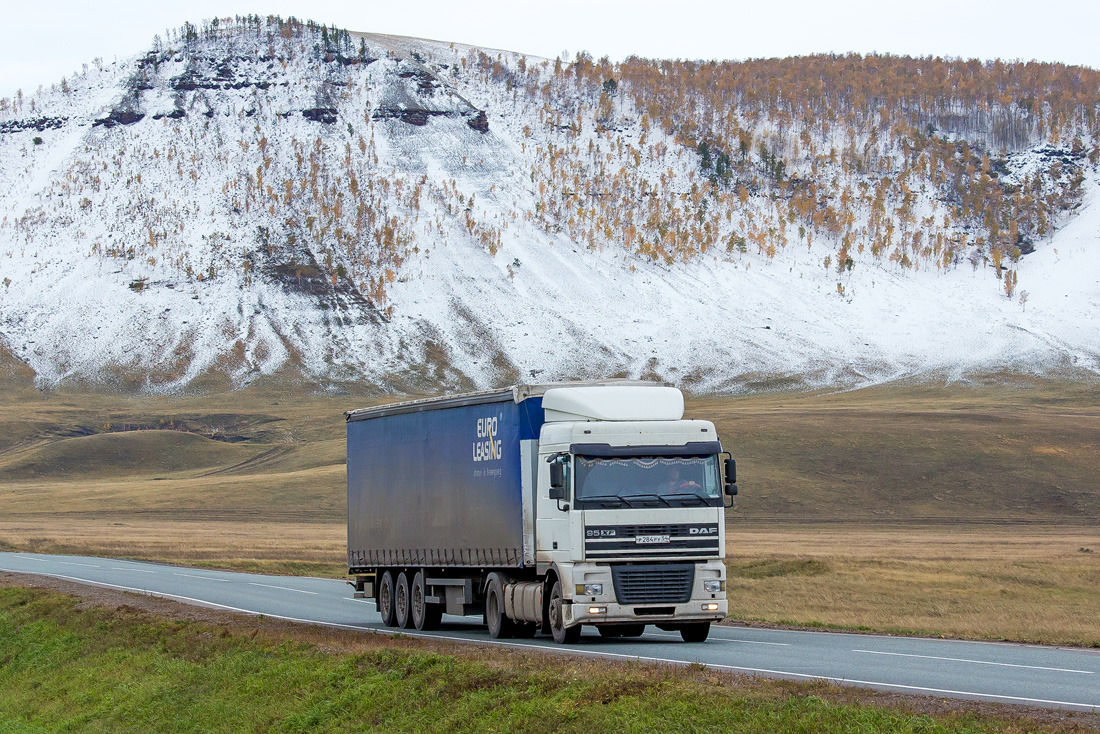 Новосибирская область, № Р 284 РУ 54 — DAF 95XF FT