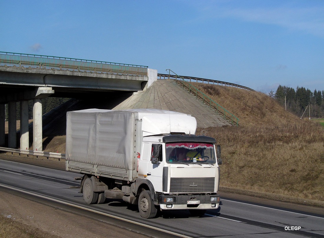 Могилёвская область, № АА 5114-6 — МАЗ-5336 (общая модель)