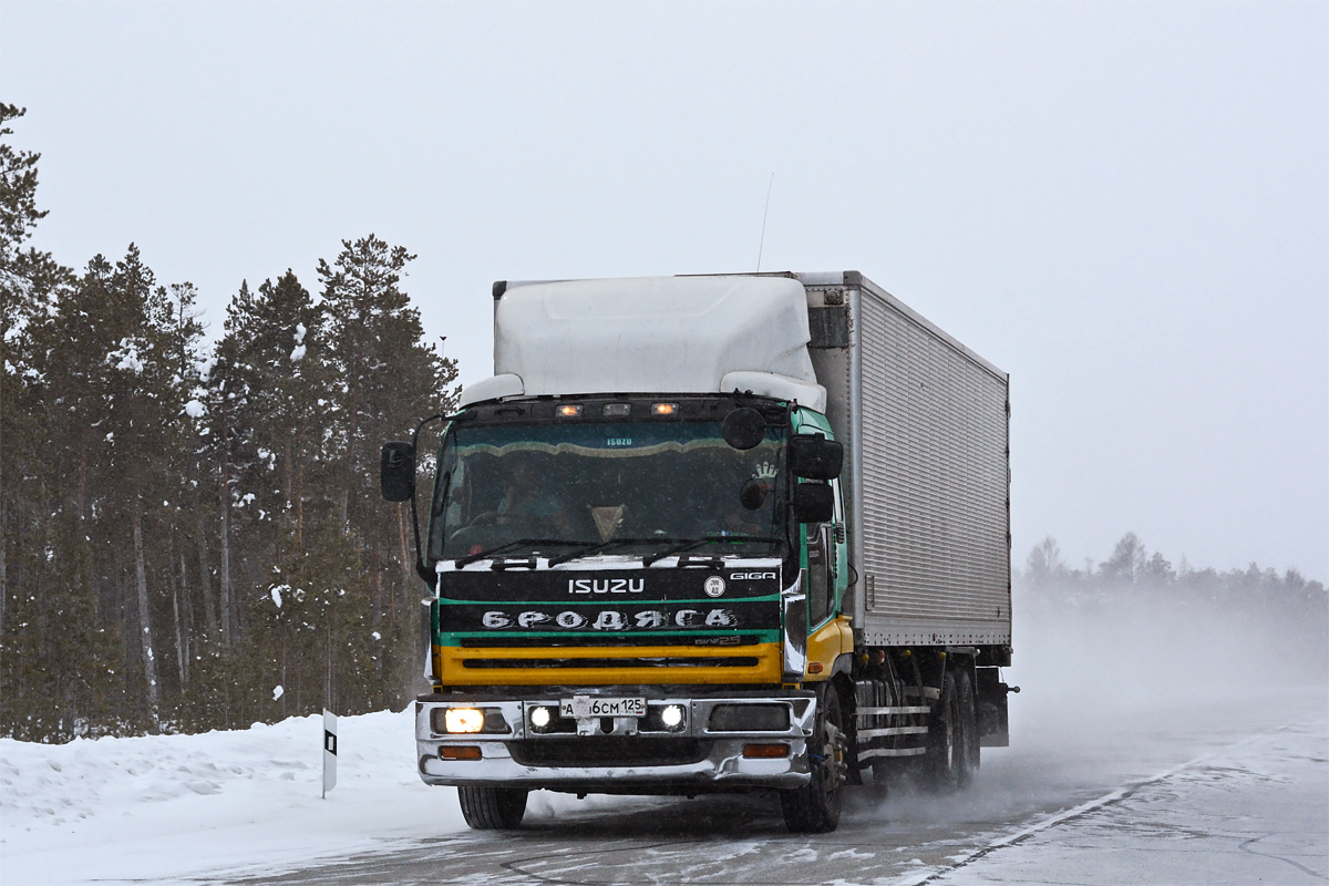 Приморский край, № А 646 СМ 125 — Isuzu Giga (общая модель)