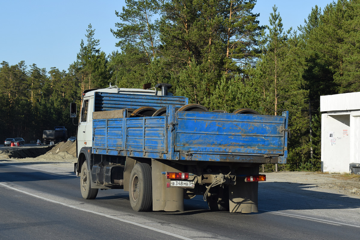 Новосибирская область, № В 348 МВ 54 — МАЗ-5336 (общая модель)