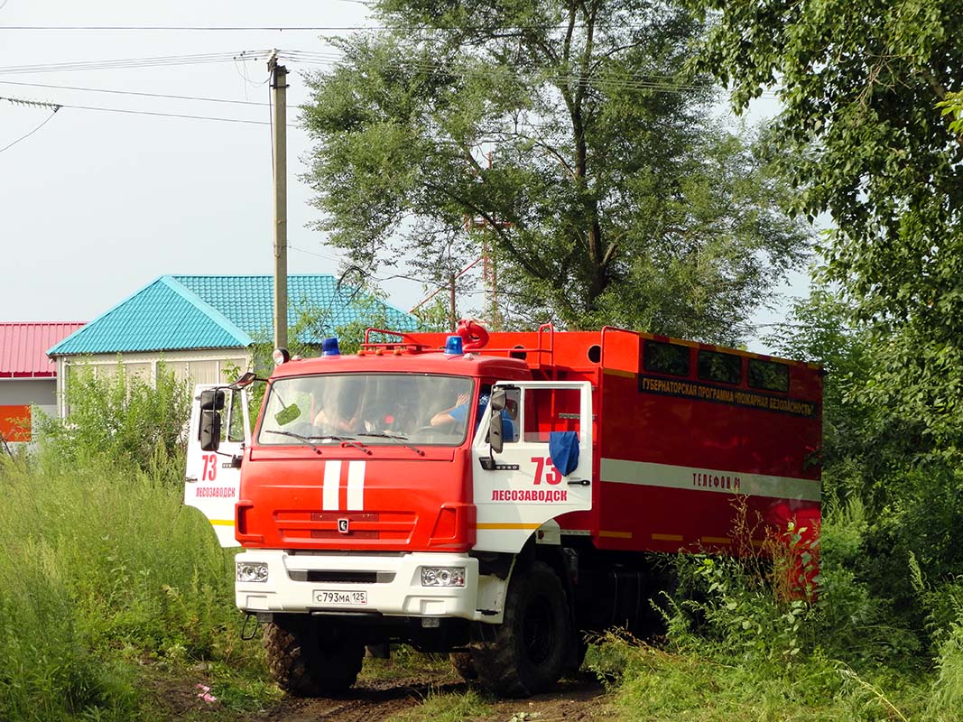 Приморский край, № С 793 МА 125 — КамАЗ-5350-42