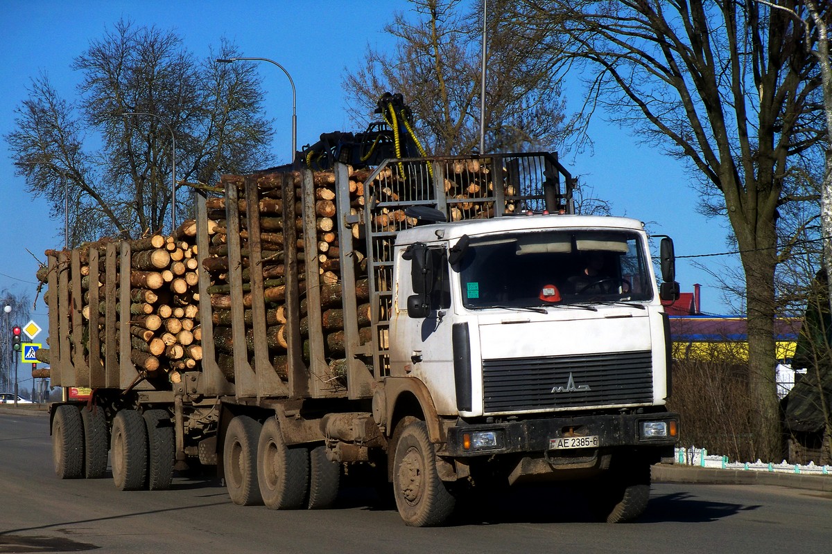 Могилёвская область, № АЕ 2385-6 — МАЗ-6317 (общая модель)