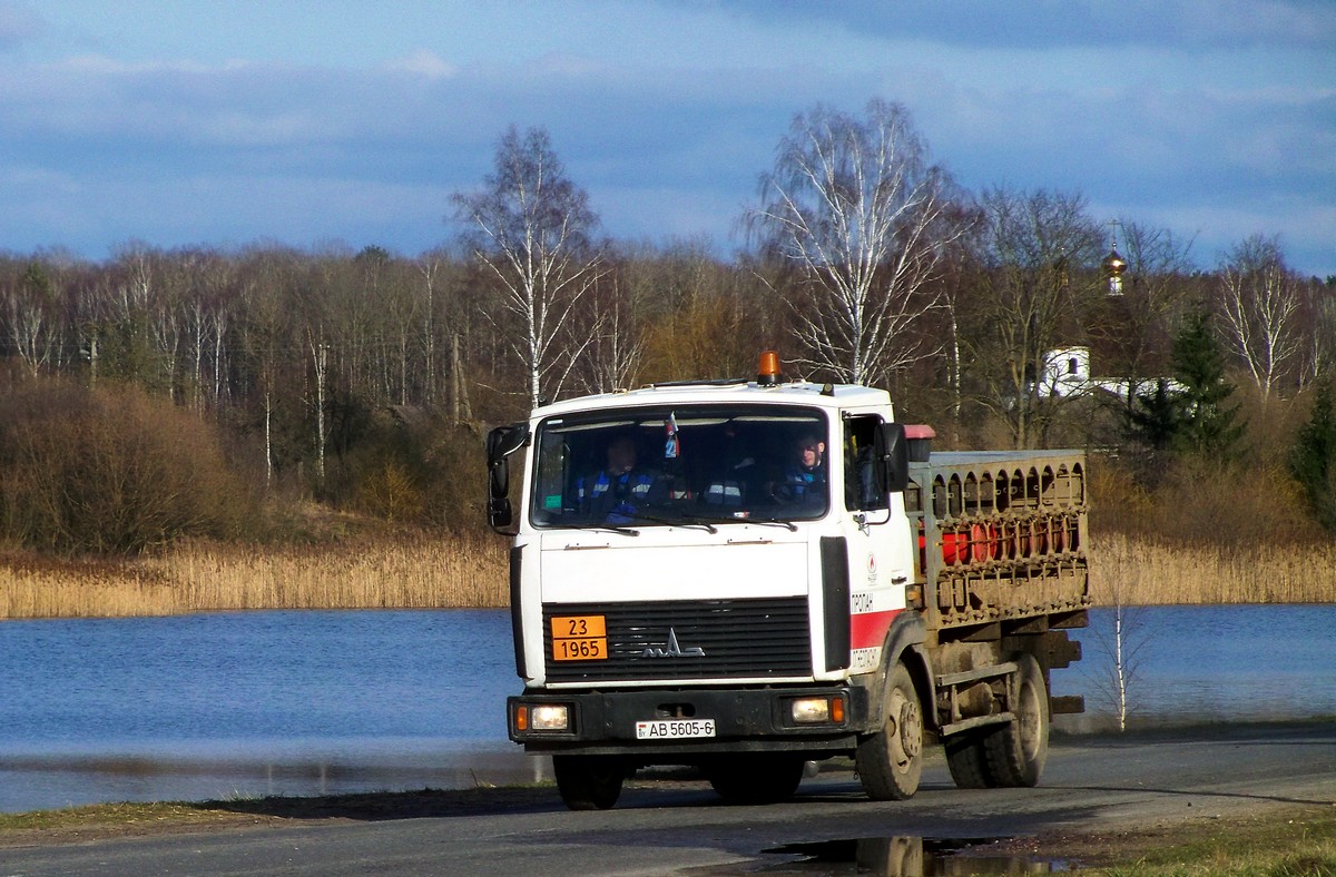 Могилёвская область, № АВ 5605-6 — МАЗ-4570 (общая модель)