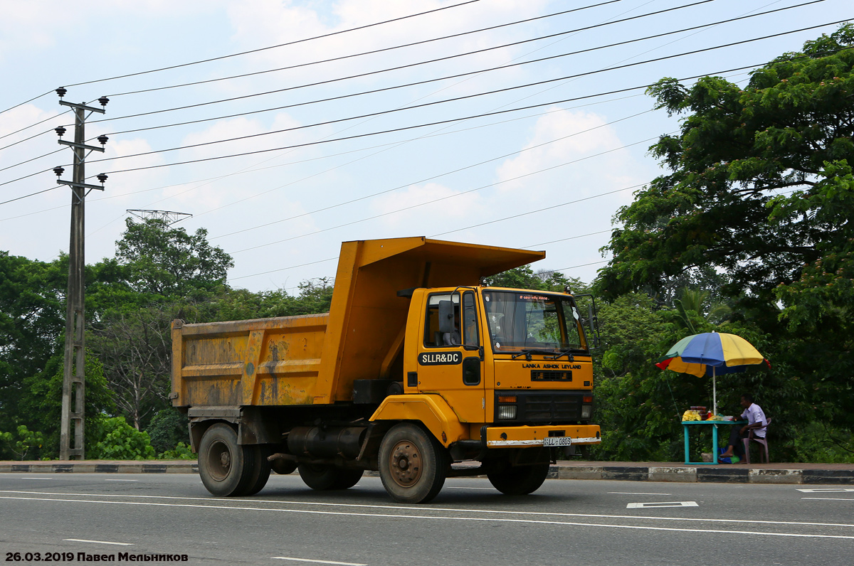 Шри-Ланка, № LL-0803 — Lanka Ashok Leyland (общая модель)