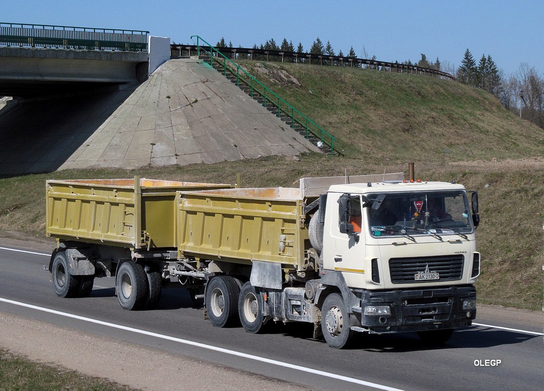 Витебская область, № АК 2130-2 — МАЗ-6501 (общая модель)