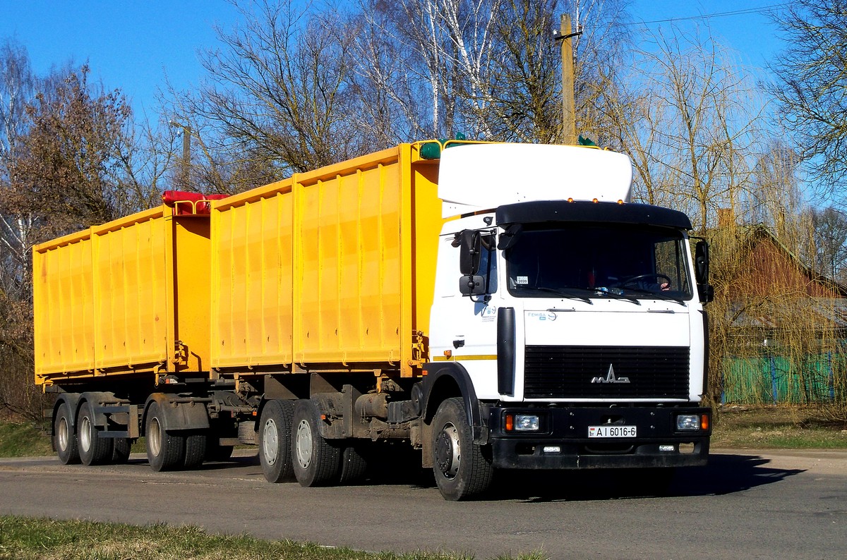 Могилёвская область, № АІ 6016-6 — МАЗ-5516 (общая модель)