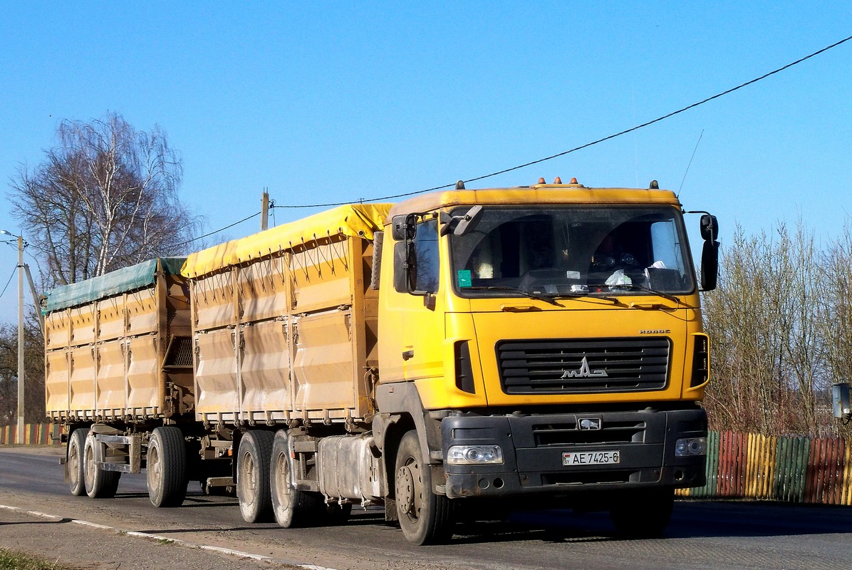 Могилёвская область, № АЕ 7425-6 — МАЗ-6501A8