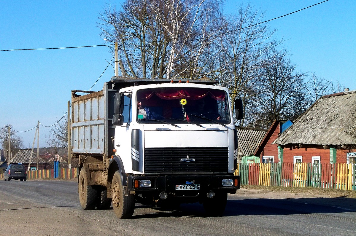 Могилёвская область, № АА 6875-6 — МАЗ-5551 (общая модель)