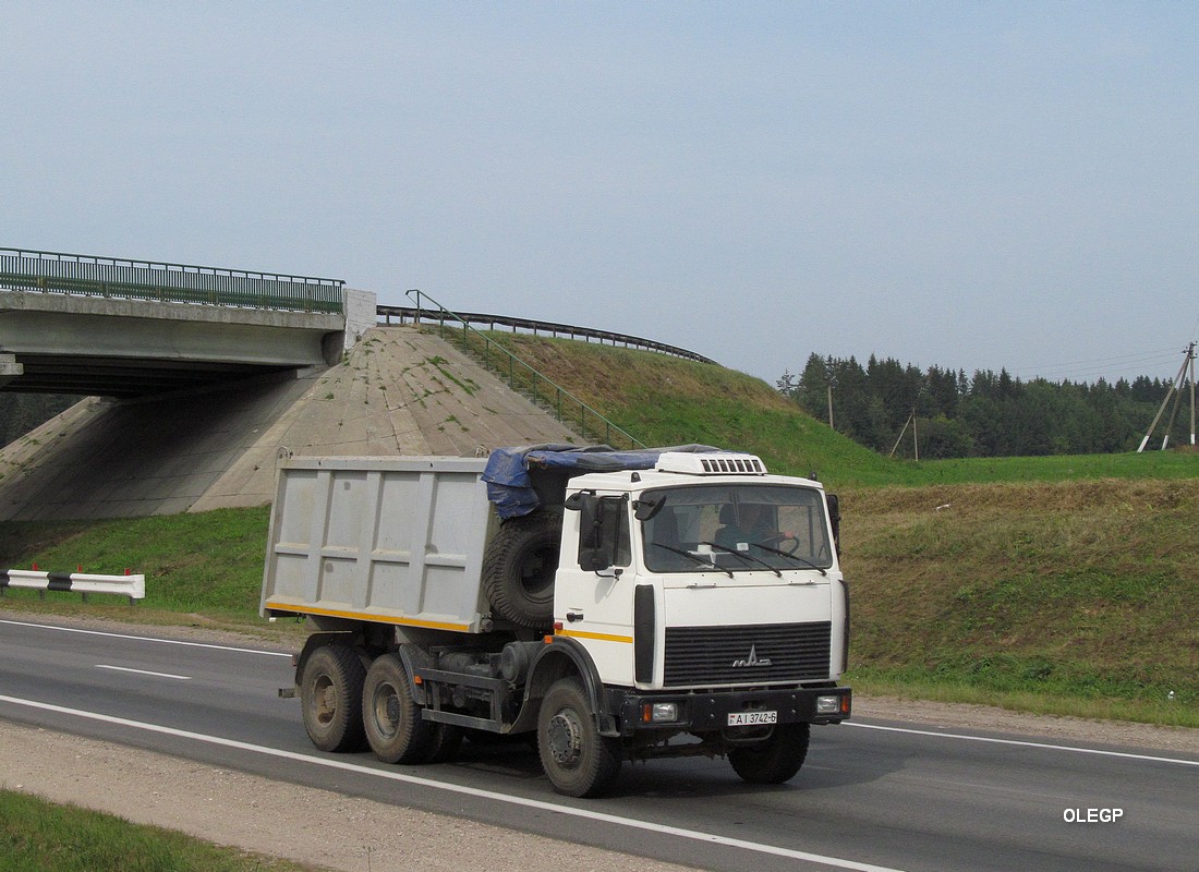 Могилёвская область, № АІ 3742-6 — МАЗ-5516 (общая модель)